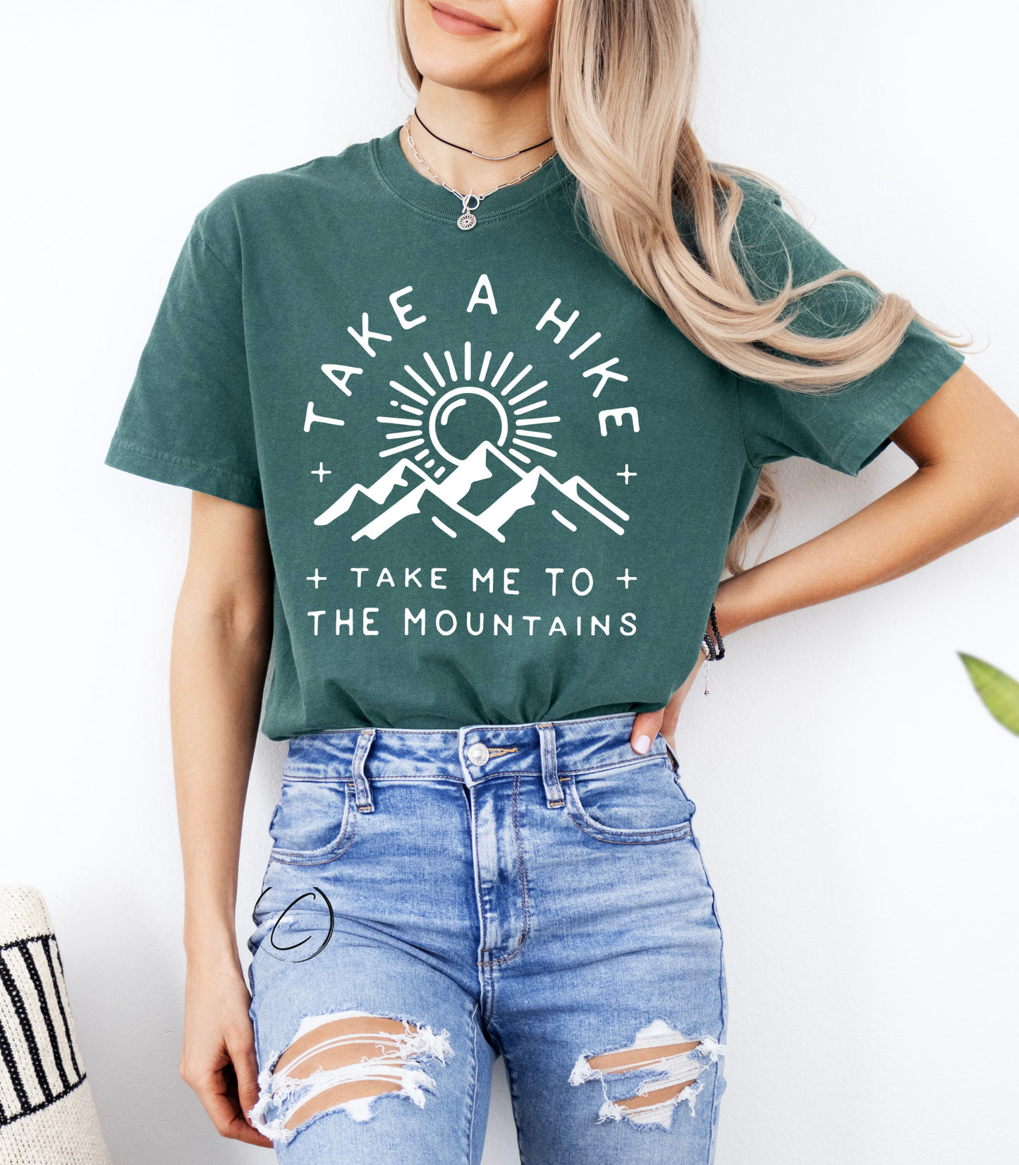 Take A Hike Graphic Tee
