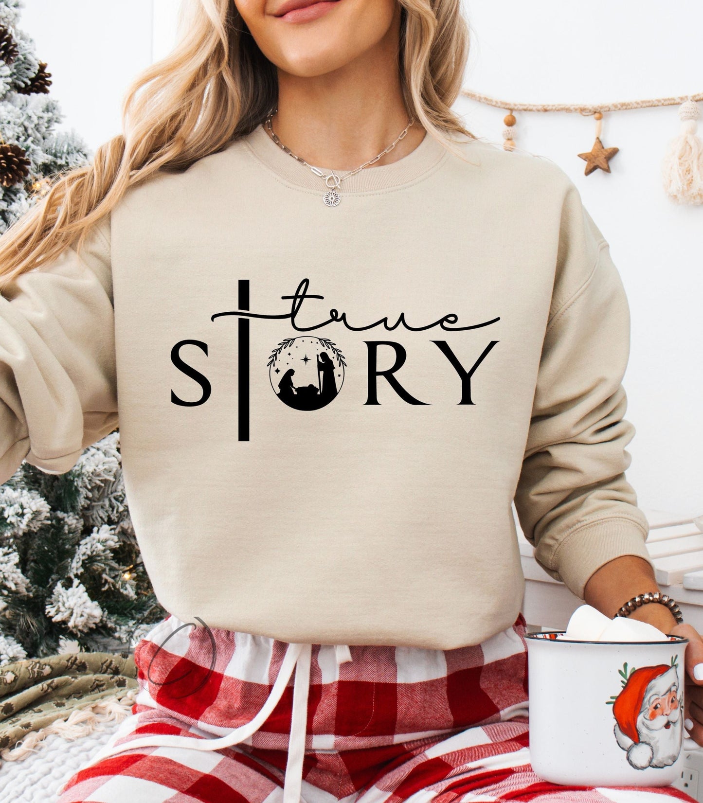 True Story Nativity Sweatshirt