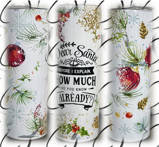 Dear Santa 20oz Skinny Tumbler