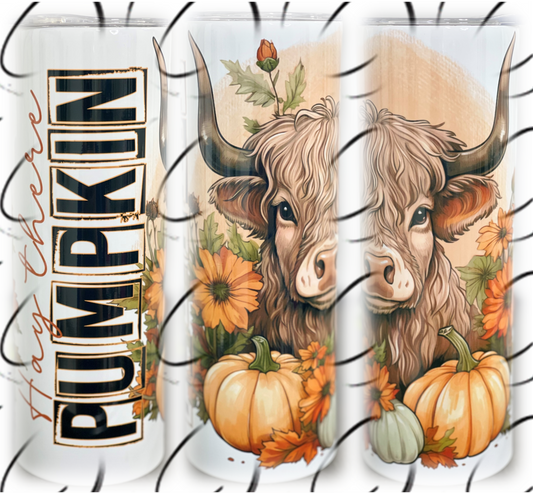 Hay There Pumpkin 20oz Skinny Tumbler